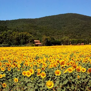 Agriturismo Valborgina Alloggio per agriturismo Castiglione della Pescaia
